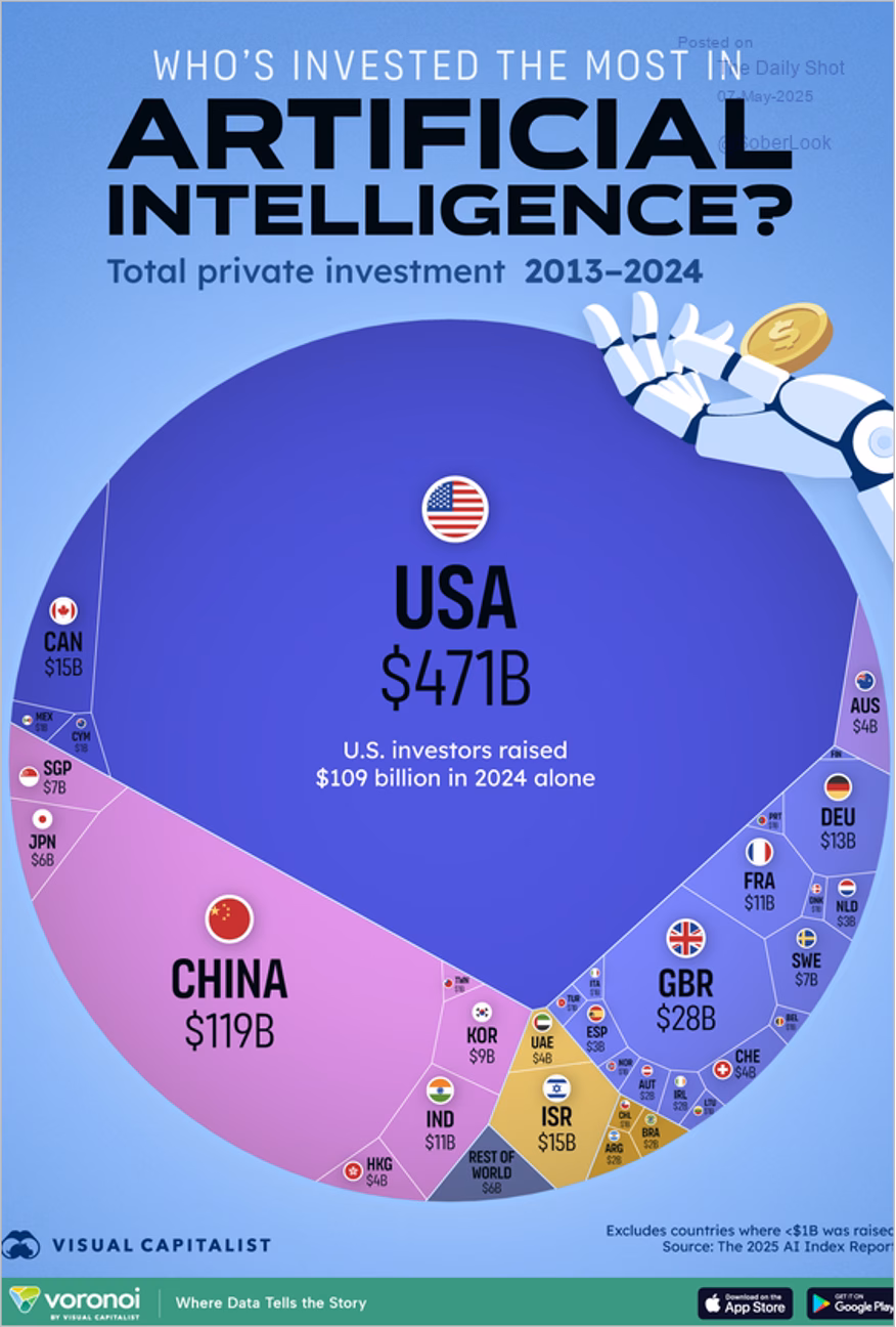 Circular infographic showing total private investment in artificial intelligence by country from 2013 to 2024