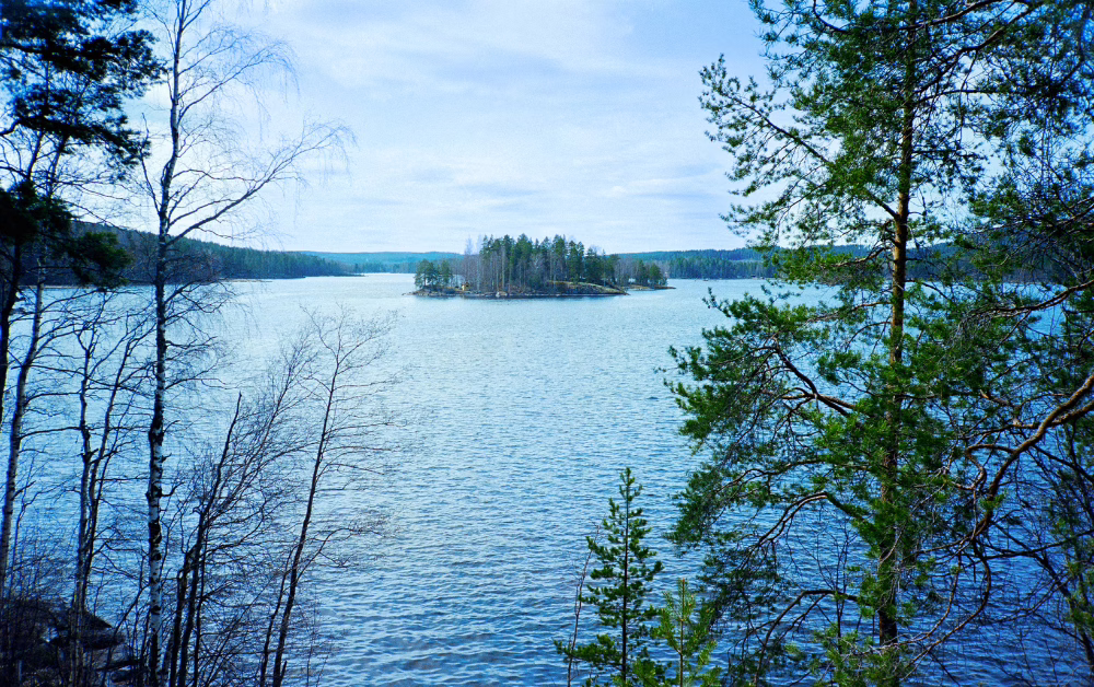 Scenic view of Lake Inari in Finnish Lapland, with pine and birch trees framing a calm blue lake and a small forested island in the distance under a partly cloudy sky.