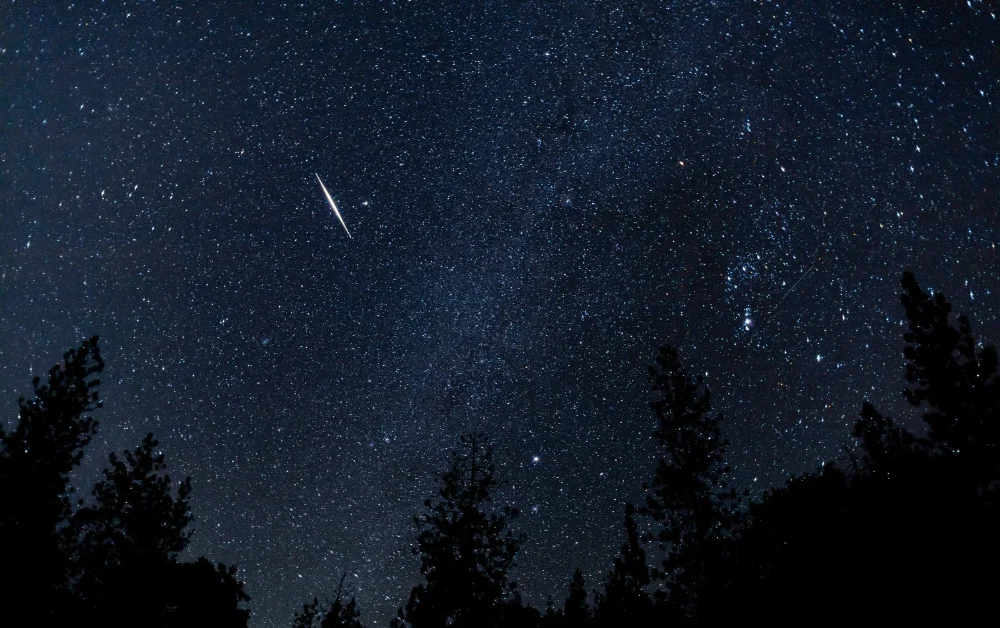 Bright meteor streaking across a starry night sky with the Milky Way and Orion above silhouetted pine trees